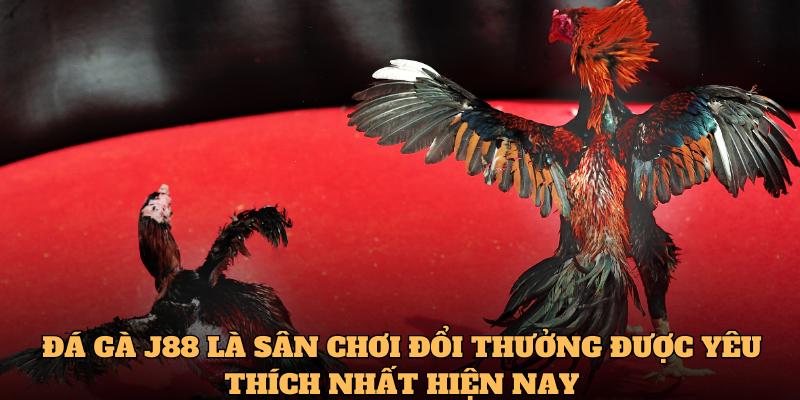 Đá gà J88 là sân chơi đổi thưởng được yêu thích nhất hiện nay