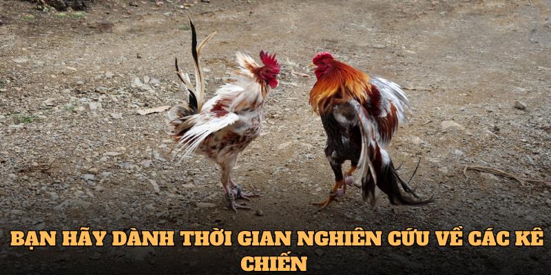 Bạn hãy dành thời gian nghiên cứu về các kê chiến 